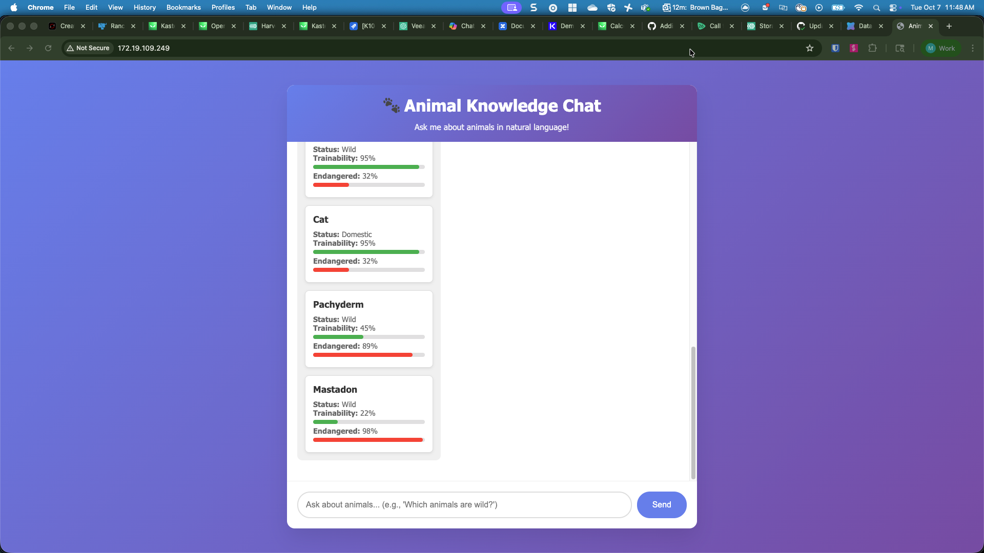 AnimalAI