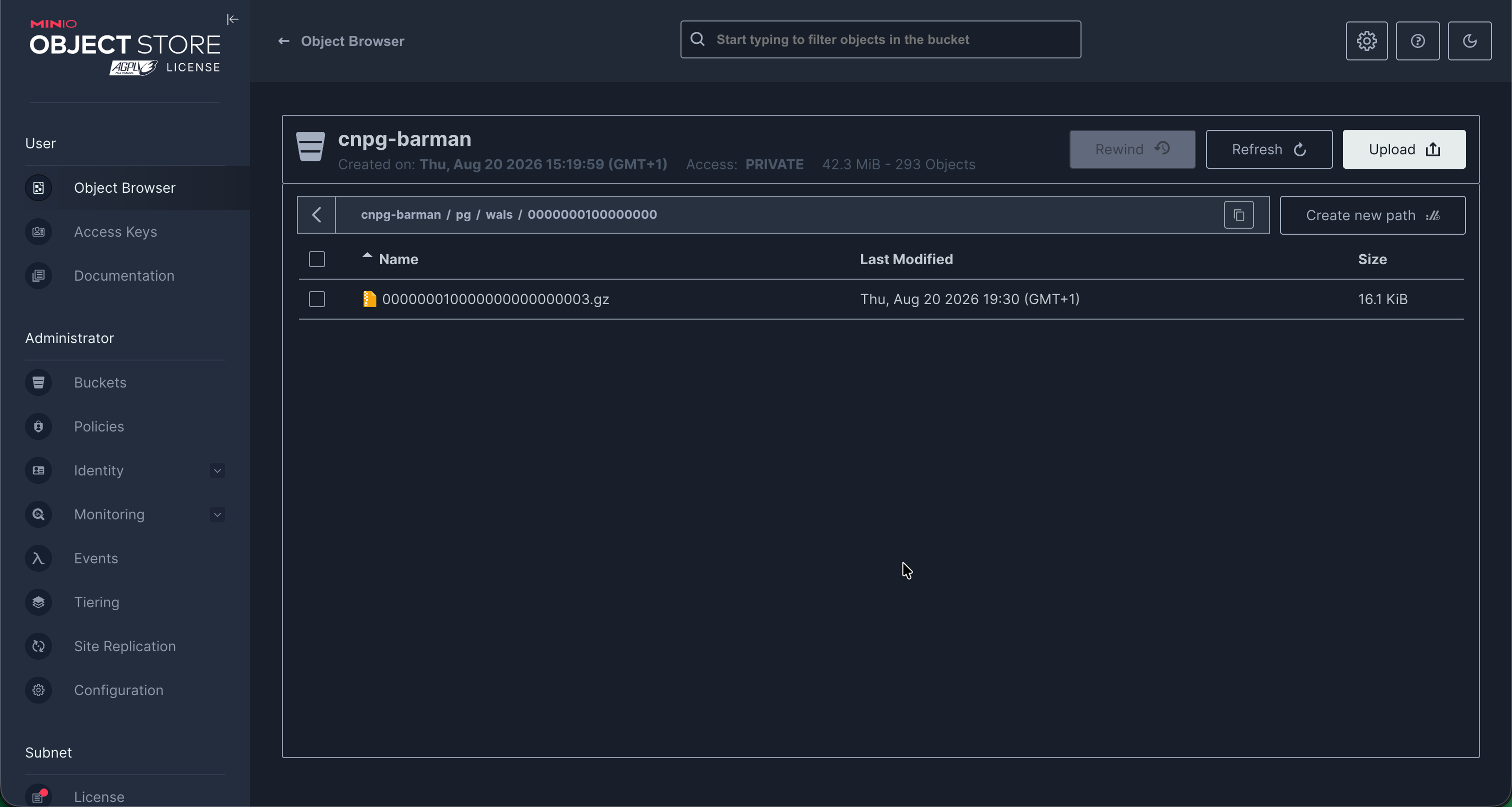 MinIO console showing the cnpg-barman bucket with base/ and wals/ prefixes